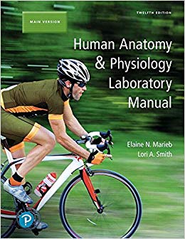 Human Anatomy and Physiology Laboratory Manual, Main Version (12th Edition) - 9780134806358