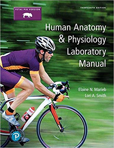 Human Anatomy and Physiology Laboratory Manual, Fetal Pig Version (13th Edition) - 9780134806365