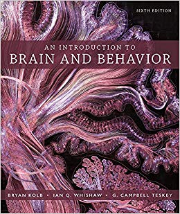 An Introduction to Brain and Behavior (6th Edition) - 9781319107376
