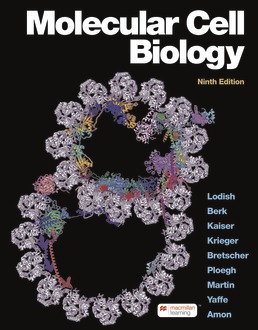 Molecular Cell Biology (9th Edition) - 9781319208523