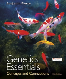 Genetics Essentials: Concepts and Connections (5th Edition) - 9781319244927