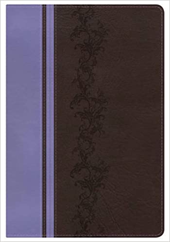 KJV Rainbow Study Bible, Brown/Lavender LeatherTouch, Indexed - 9781433613593