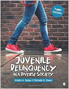 Juvenile Delinquency in a Diverse Society (3rd Edition) - 9781544375434