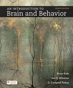 An Introduction to Brain and Behavior (7th Edition) - 9781319254384