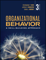 Organizational Behavior: A Skill-Building Approach (3rd Edition) - 9781071854426