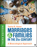 Marriages and Families in the 21st Century: A Bioecological Approach (3rd Edition) - 9781071856673