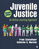 Juvenile Justice (2nd Edition) - 9781071862650