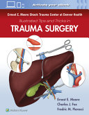Ernest E. Moore Shock Trauma Center at Denver Health Illustrated Tips and Tricks in Trauma Surgery - 9781975109516