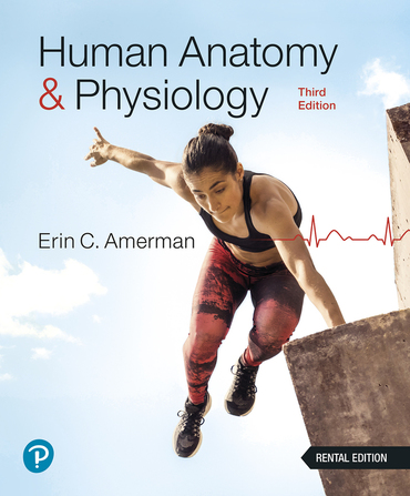 Human Anatomy & Physiology (3rd Edition) - 9780138201814