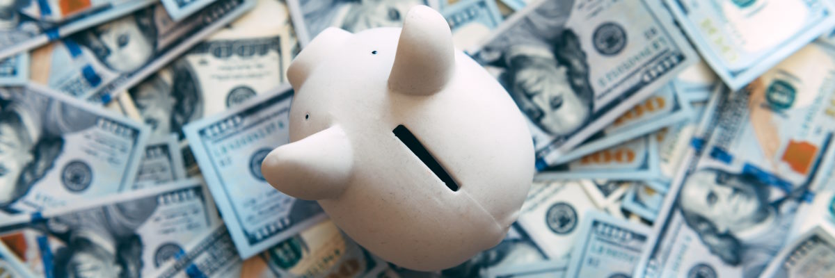 Piggy Bank with Cash